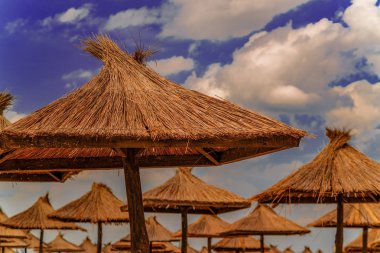 Plaj deniz saman şemsiye