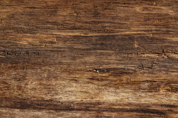 Old wood background vintage — Stok Foto