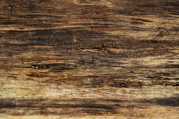 Old wood background vintage — Stok Foto