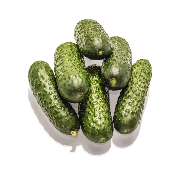 Green cucumber on white background — Stock Photo, Image