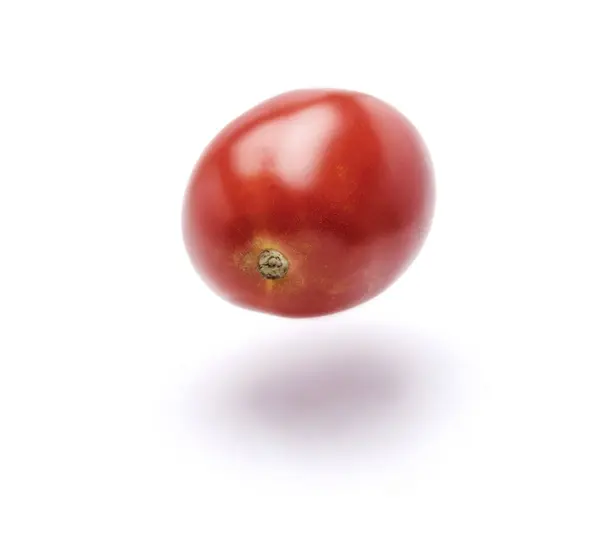 Tomate rojo sobre fondo blanco — Foto de Stock