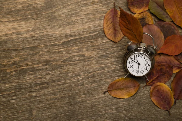 Vecchio orologio su uno sfondo di foglie gialle — Foto Stock