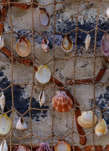 Muscheln am Nahfaden aufgereiht - Hintergrund. — Stockfoto