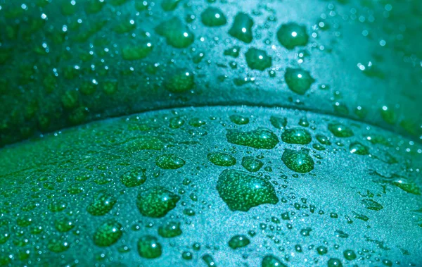 Drops Dew Green Leaf Macro Can Used Background Screen Saver — Stock Photo, Image