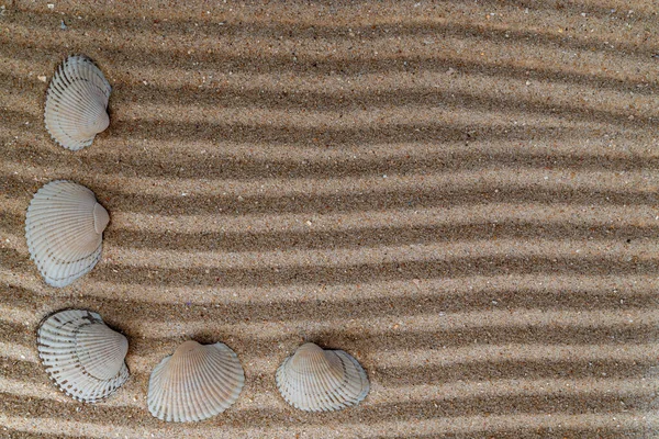 Мушлі Піску Середземного Моря Місце Тексту — стокове фото