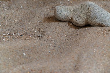 Adriyatik kıyısında deniz taşları, makro, metin için bir yer var.