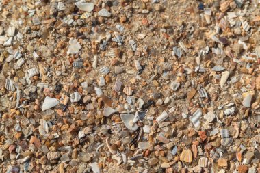 Çöl kum dokusu Accona, makro, metin için bir yer var.