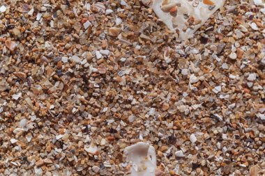 Çöl kum dokusu Accona, makro, metin için bir yer var.