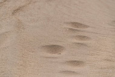Güzel çöl kum dokusu, yakın plan.