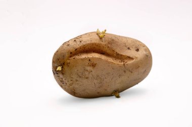 Beyaz arka planda büyük bir patates