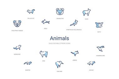 animals concept 14 colorful outline icons. 2 color blue stroke i clipart