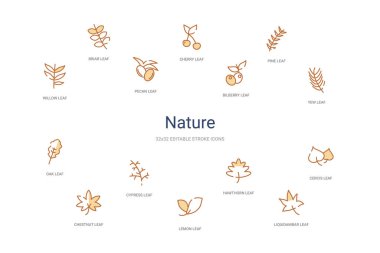 Doğa konsepti 14 renkli taslak simgeleri. 2 renk mavi kulaç
