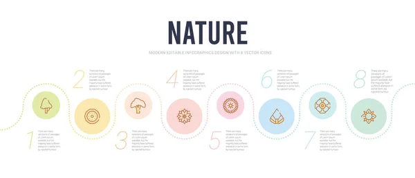 Nature Concept Infografik-Design-Vorlage. Alstroemeri enthalten — Stockvektor
