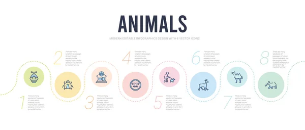 Djur koncept infographic design mall. inklusive tapir, cam — Stock vektor