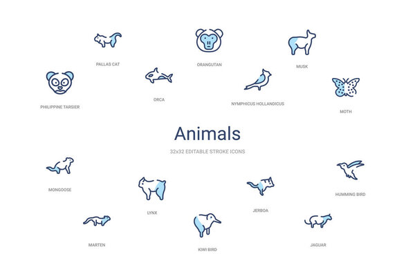животные концепция 14 красочные контуры иконки. 2 цвета синий штрих i
