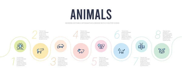 Животных концепция шаблона инфографического дизайна. включая морскую свинку — стоковый вектор