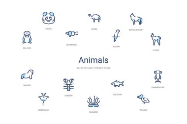 Hayvanlar konsepti 14 renkli taslak simgeleri. 2 renk mavi vuruş!
