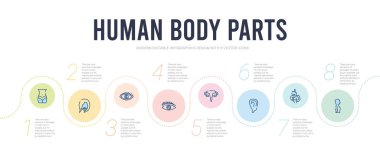 İnsan vücudu parçaları konsept bilgi tasarım şablonu. c dahil