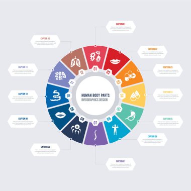 yuvarlak 12 seçenekleri insan vücut parçaları bilgi şablonu tasarımı. r