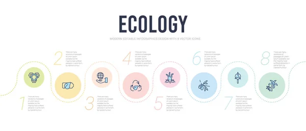 Koncepcja ekologiczna infografika projekt szablon. w tym tr kokosowy — Wektor stockowy