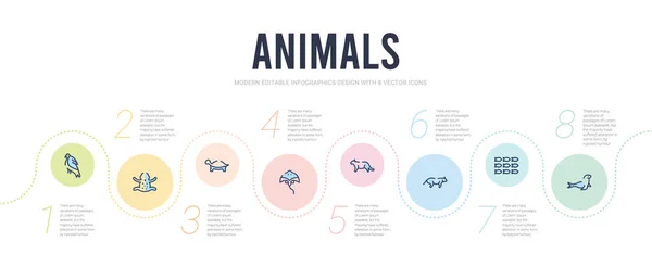 Animals concept infographic design template. included sea lion, — Stock Vector