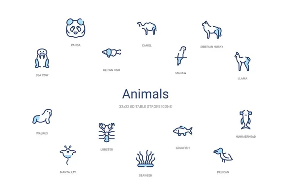 Concepto de animales 14 iconos de contorno de colores. 2 color azul trazo i — Archivo Imágenes Vectoriales