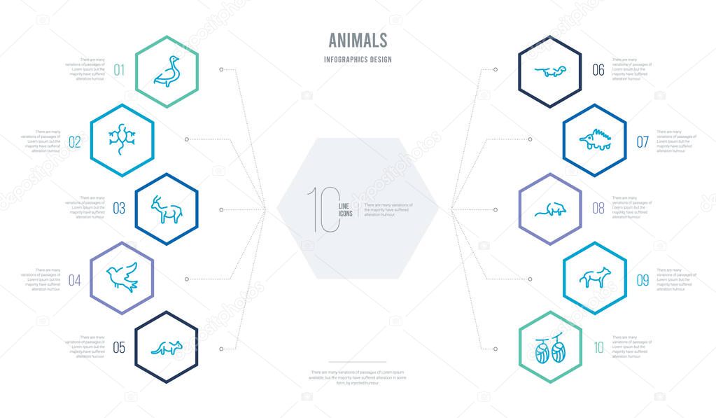 animals concept business infographic design with 10 hexagon opti