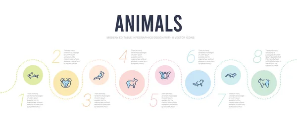 Modelo de design infográfico conceito de animais. lince incluído, mart —  Vetores de Stock