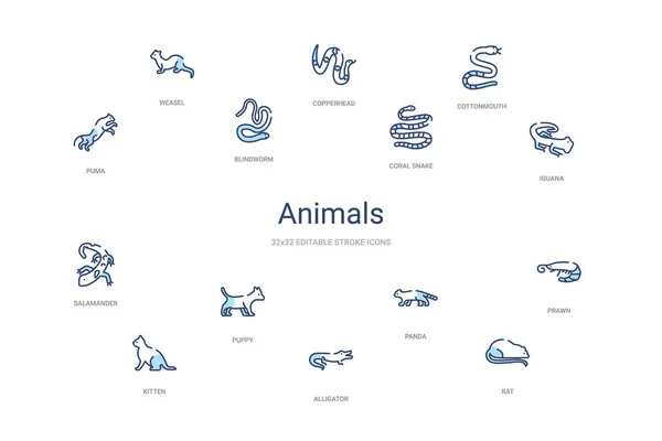 Concepto de animales 14 iconos de contorno de colores. 2 color azul trazo i — Vector de stock