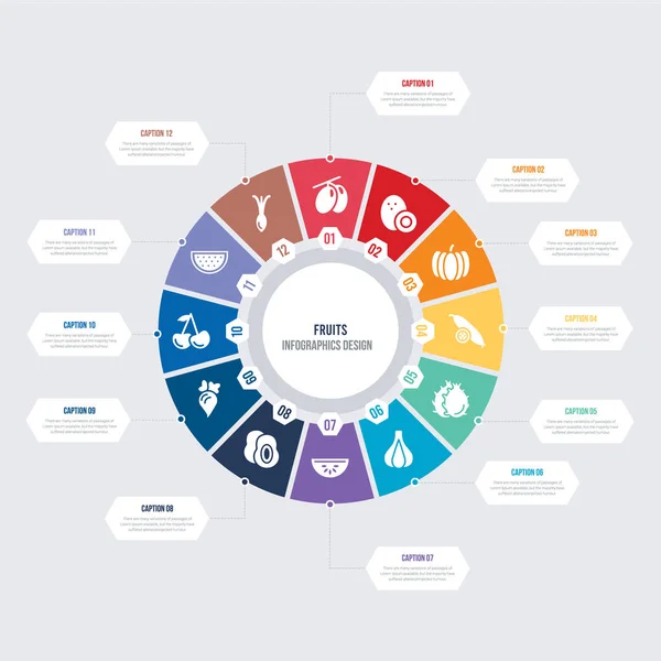 round 12 options fruits infographic template design. spring onio