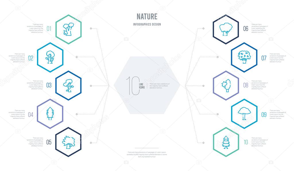 nature concept business infographic design with 10 hexagon optio