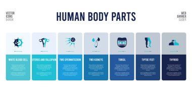 İnsan vücut parçaları konsept elementlerine sahip web pankartı tasarımı.