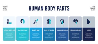 İnsan vücut parçaları konsept elementlerine sahip web pankartı tasarımı.