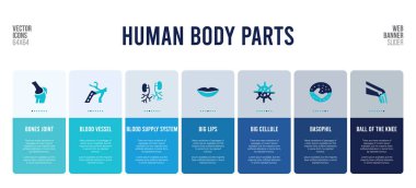 İnsan vücut parçaları konsept elementlerine sahip web pankartı tasarımı.