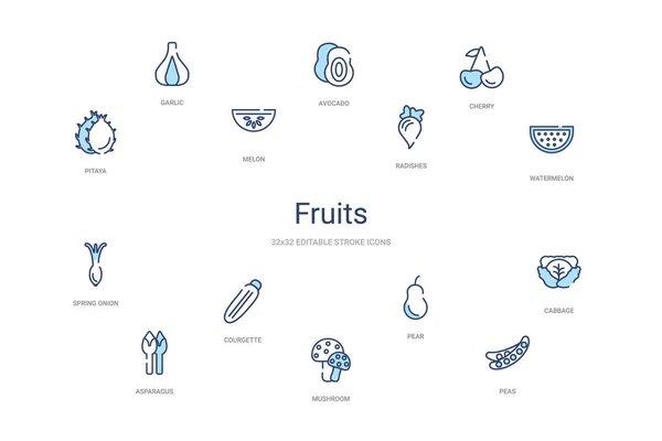 Concept de fruits 14 icônes contour coloré. 2 couleur bleu AVC ic — Image vectorielle