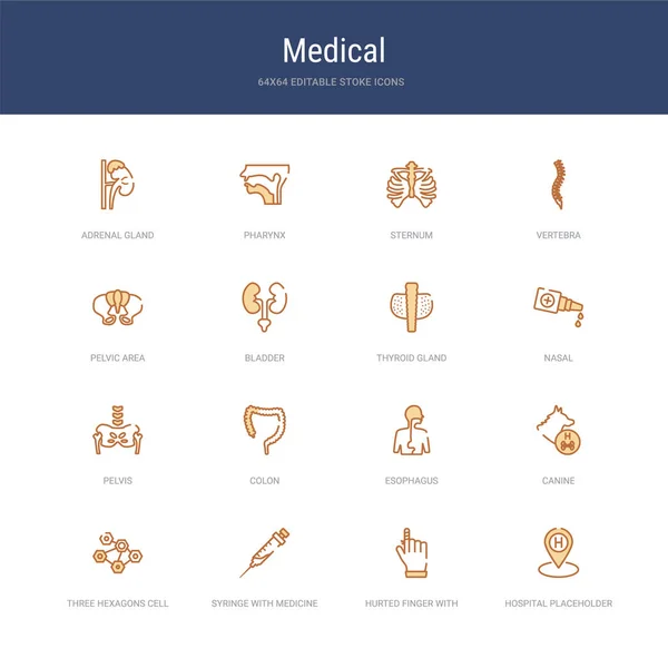 Set of 16 vector stroke icons such as hospital placeholder, hurt — 스톡 벡터