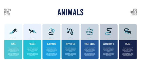 Diseño de banner web con elementos de concepto de animales . — Vector de stock