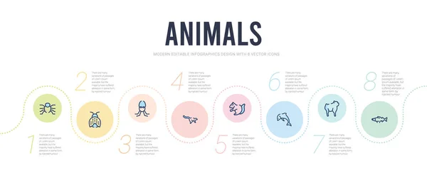 Animals concept infographic design template. included zander, ba — Stock Vector