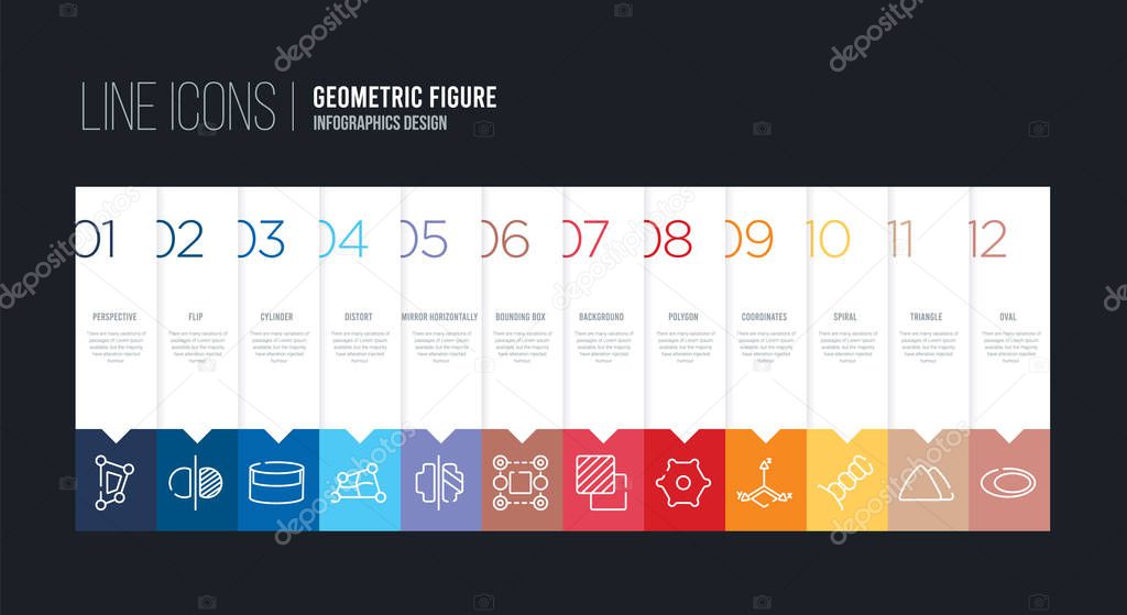 Infographic design with 12 options. stroke line icons such as bounding box, mirror horizontally, distort, cylinder, flip, perspective can be use for web and mobile