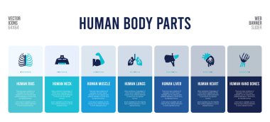 İnsan vücut parçaları konsept elementlerine sahip web pankartı tasarımı.