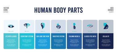 İnsan vücut parçaları konsept elementlerine sahip web pankartı tasarımı.