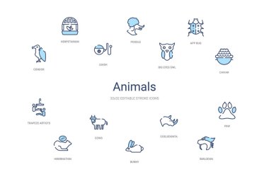 Hayvanlar konsepti 14 renkli taslak simgeleri. 2 renk mavi vuruş!