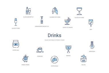 İçki konsepti 14 renkli taslak simgeleri. 2 renk mavi kulaç