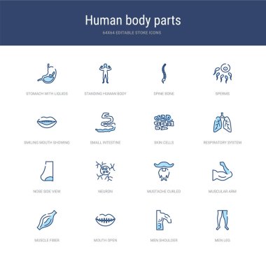 Erkekler bacağı, omuz, mou gibi 16 vektör vuruşu simgesi