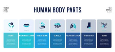 İnsan vücut parçaları konsept elementlerine sahip web pankartı tasarımı.