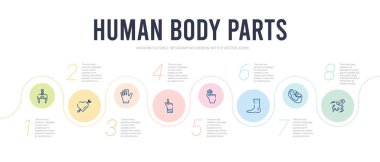 İnsan vücudu parçaları konsept bilgi tasarım şablonu. f