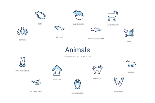 Concepto de animales 14 iconos de contorno de colores. 2 color azul trazo i — Vector de stock