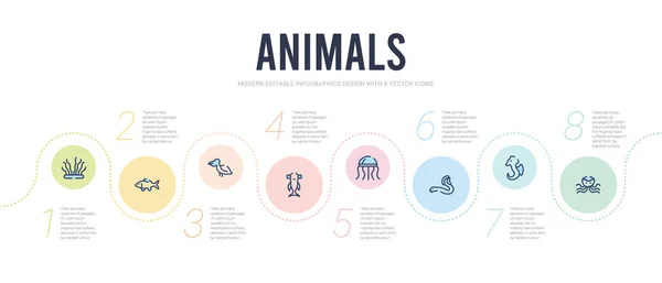 Animals concept infographic design template. included octopus, s — Stock Vector
