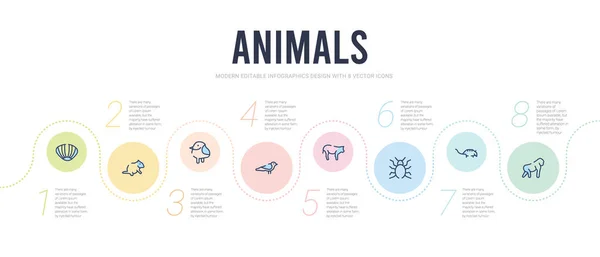 Koncepcja zwierząt infografika szablon projektu. w tym małpa, armad — Wektor stockowy