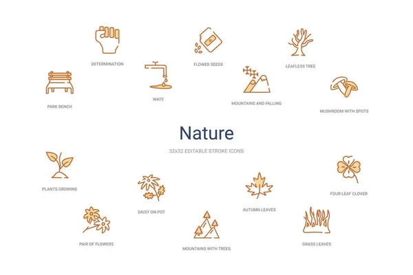 Natuur concept 14 kleurrijke schets pictogrammen. 2 kleuren blauw streep ic — Stockvector